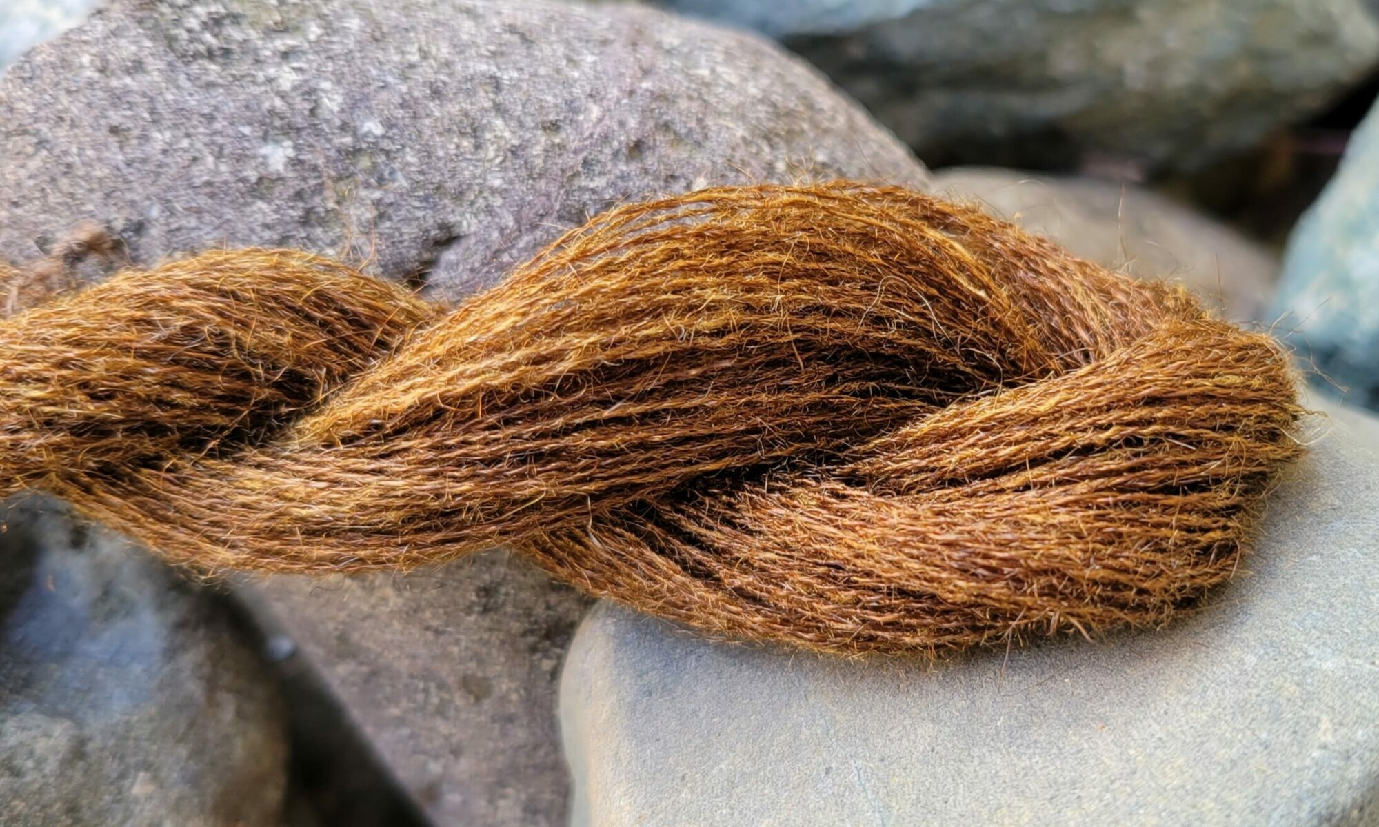 Context The Sea Silk Project Context The Sea Silk Project